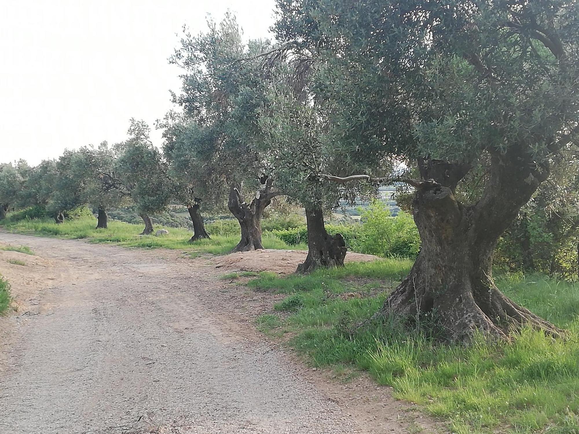 El Mirador De Sabayes 빌라 외부 사진